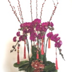 CNY Orchid Flowers